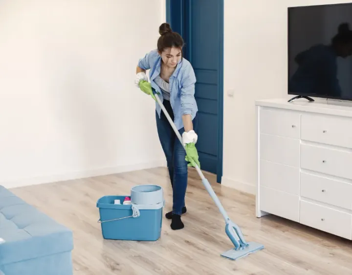 Femme de ménage Bedous